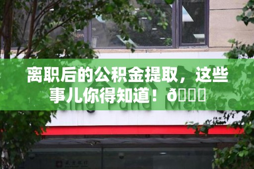 泉港离职后的公积金提取,这些事儿你得知道!😎 泉港离职后的公积金提取,这些事儿你得知道!😎