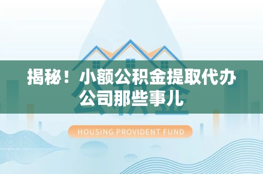 泉港揭秘！小额公积金提取代办公司那些事儿